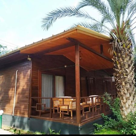 Olympos Yavuz Hotel Çıralı Εξωτερικό φωτογραφία