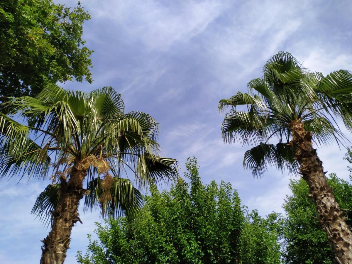 Olympos Yavuz Hotel Çıralı Εξωτερικό φωτογραφία