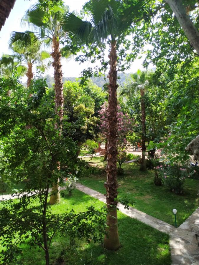 Olympos Yavuz Hotel Çıralı Εξωτερικό φωτογραφία