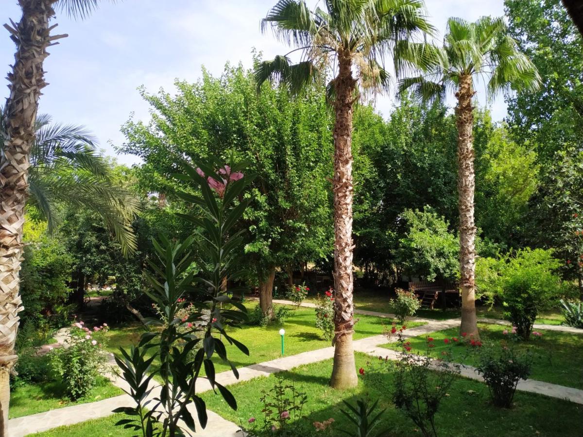 Olympos Yavuz Hotel Çıralı Εξωτερικό φωτογραφία