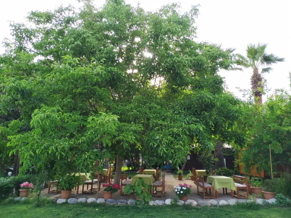 Olympos Yavuz Hotel Çıralı Εξωτερικό φωτογραφία