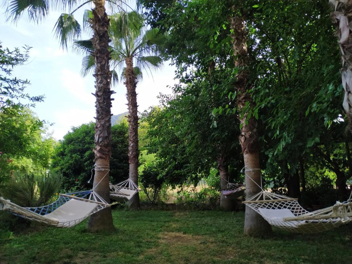 Olympos Yavuz Hotel Çıralı Εξωτερικό φωτογραφία