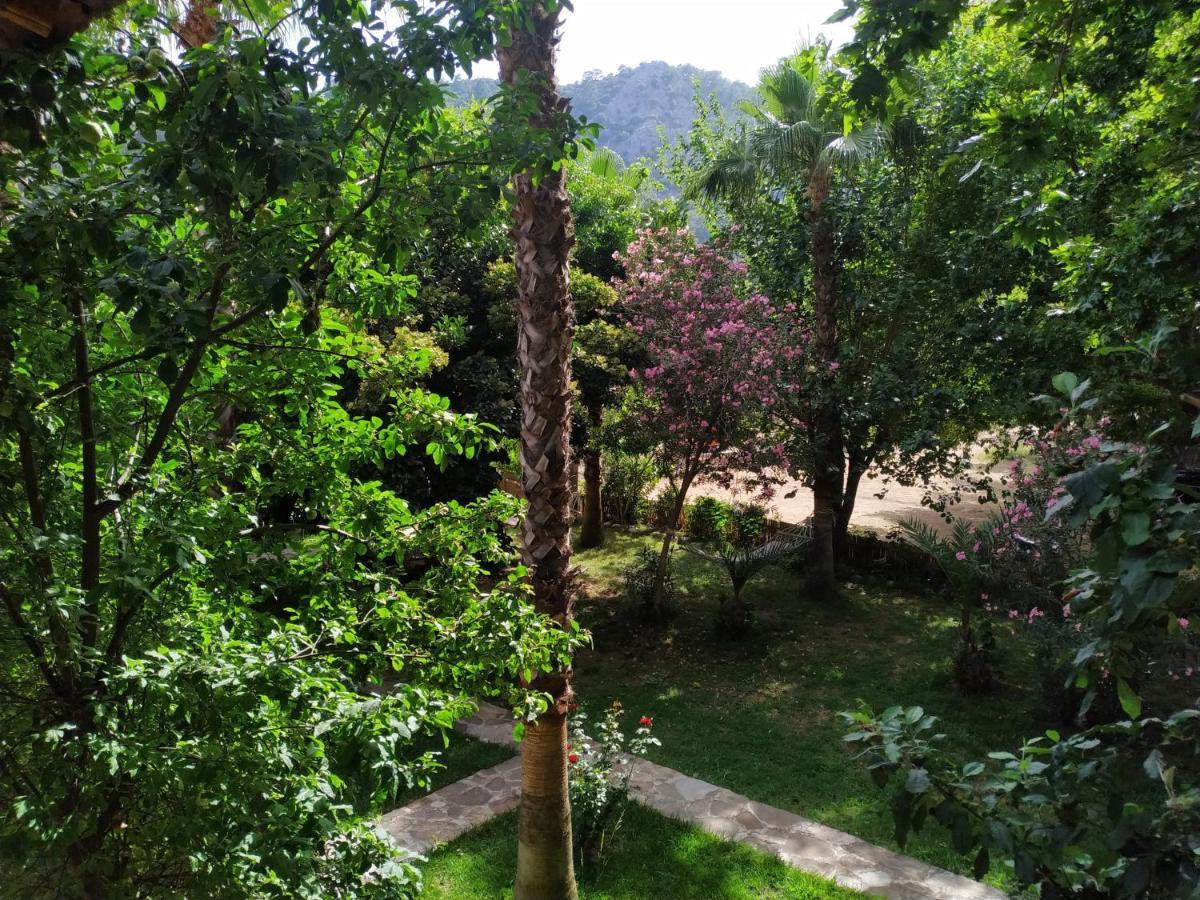 Olympos Yavuz Hotel Çıralı Εξωτερικό φωτογραφία