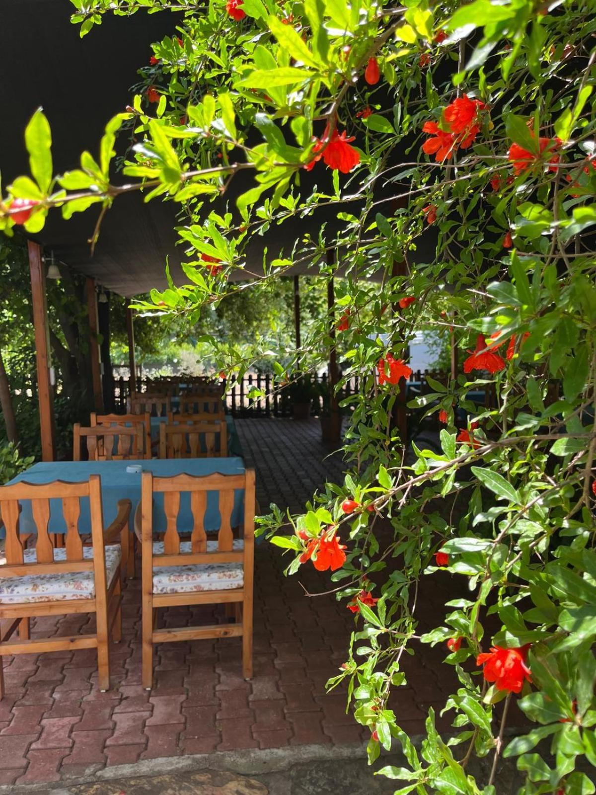 Olympos Yavuz Hotel Çıralı Εξωτερικό φωτογραφία