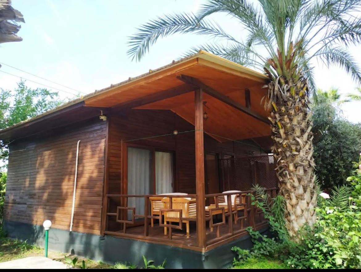Olympos Yavuz Hotel Çıralı Εξωτερικό φωτογραφία