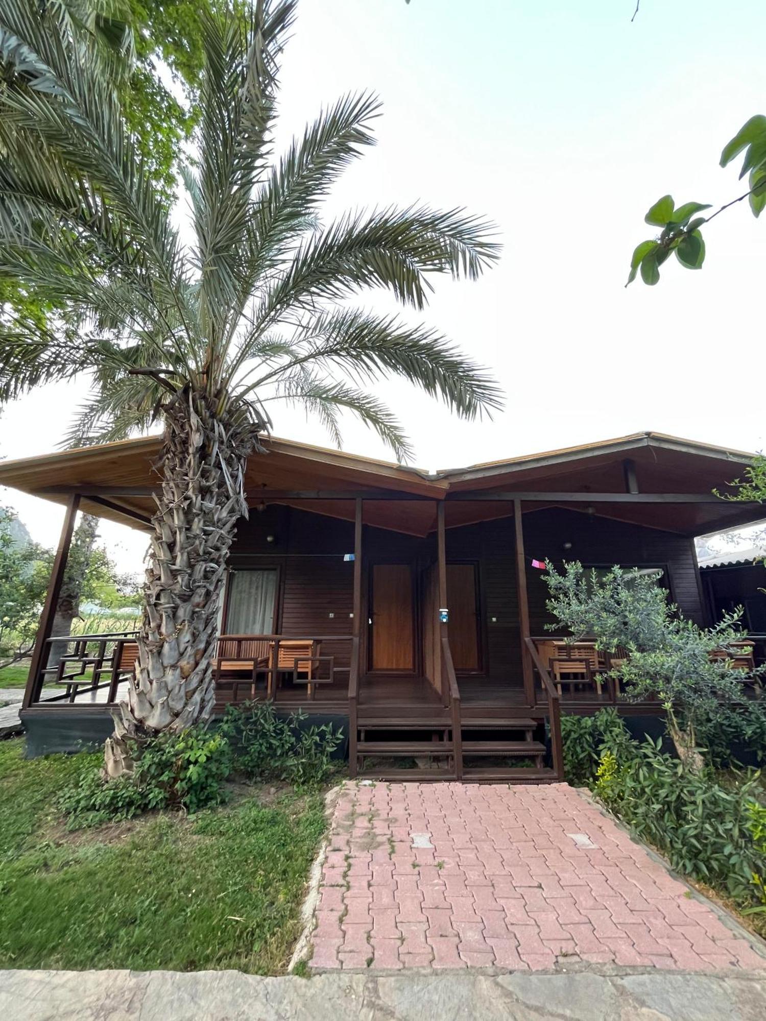 Olympos Yavuz Hotel Çıralı Εξωτερικό φωτογραφία