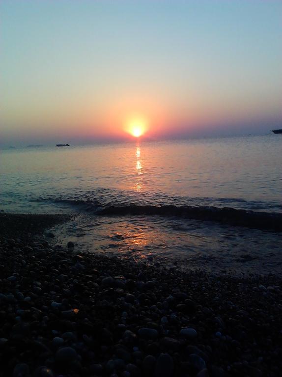 Olympos Yavuz Hotel Çıralı Εξωτερικό φωτογραφία