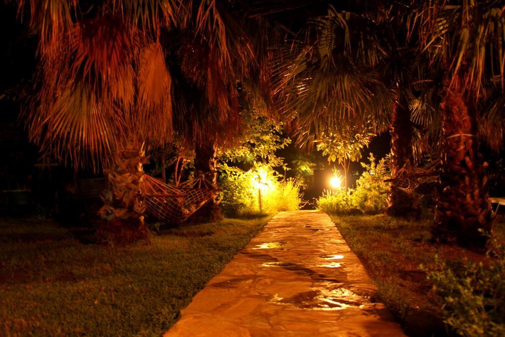 Olympos Yavuz Hotel Çıralı Εξωτερικό φωτογραφία